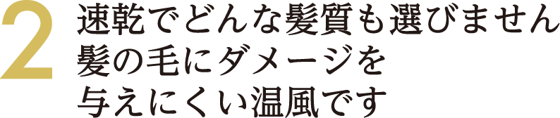 速乾でどんな髪質も選びません 髪の毛にダメージを与えにくい温風です